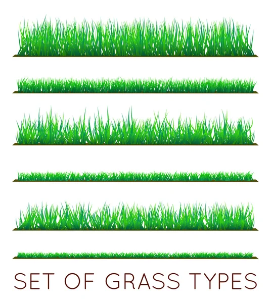 Sada barevných pozadí zelené trávy — Stockový vektor