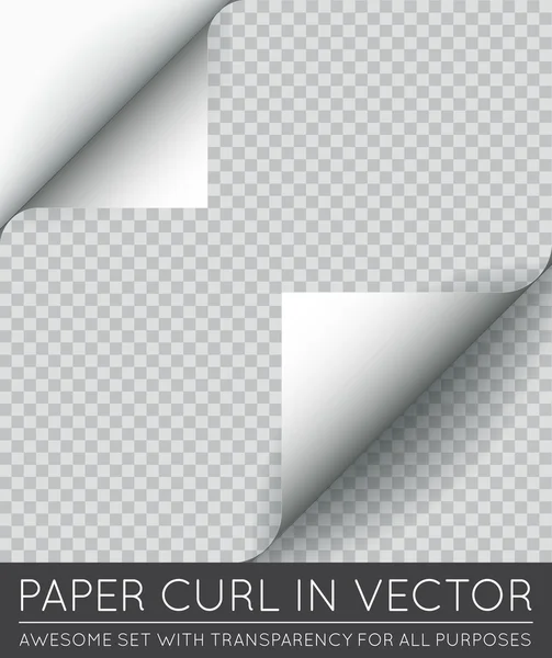 Paper Page Curl — Stock Vector