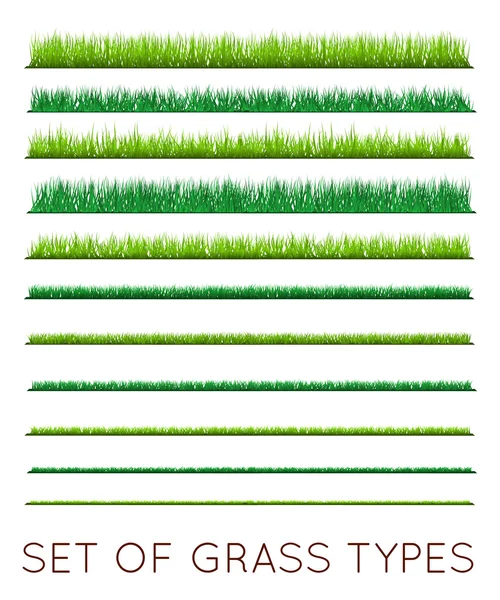 Ensemble de milieux d'herbe verte — Image vectorielle