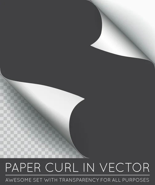 Rizo de página de papel — Archivo Imágenes Vectoriales