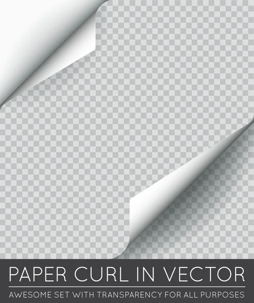 Kertas keriting halaman - Stok Vektor