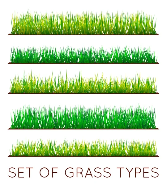 Sada barevných pozadí zelené trávy — Stockový vektor