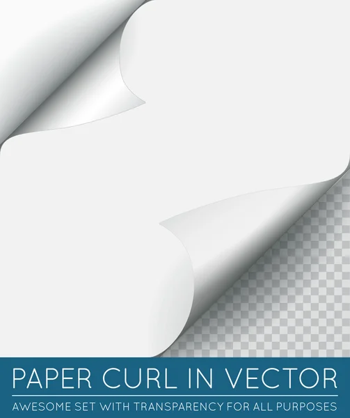 Rizo de página de papel — Vector de stock