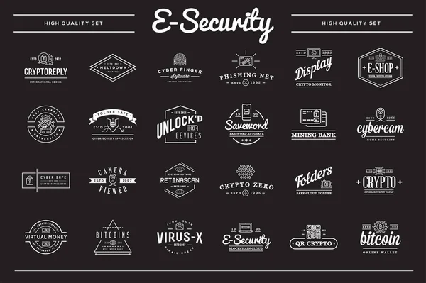 Großes Set Von Vektor Cyber Security Identity Badges Und Schildern — Stockvektor