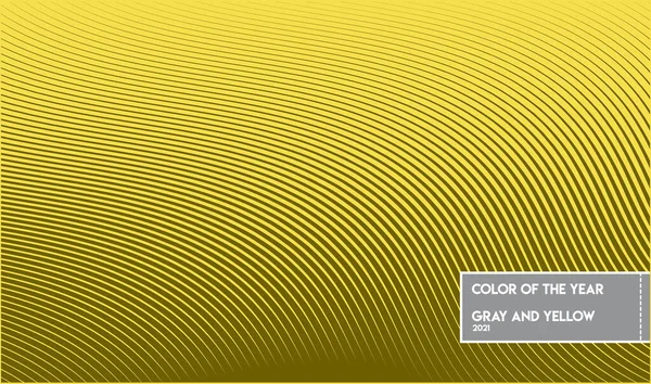 Farbmuster Gelb Und Grau Vektor — Stockvektor