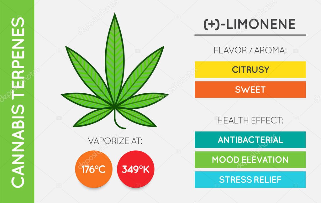Cannabis Terpene Information Chart. Aroma and Flavor with Health Benefits and Vaporize Temperature. CBD and THC. Vector.