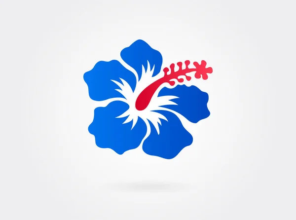 Vermelho Com Flor Azul Hibisco Sobre Fundo Branco Ilustração Vetorial —  Vetores de Stock