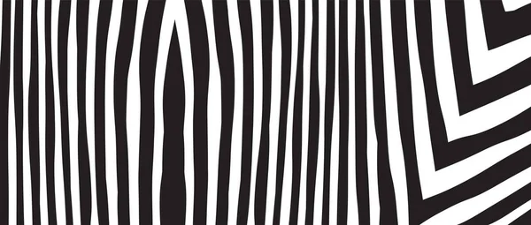 Wild Zebra Wave Pattern Avec Noir Blanc Tendance Élégant Résumé — Image vectorielle