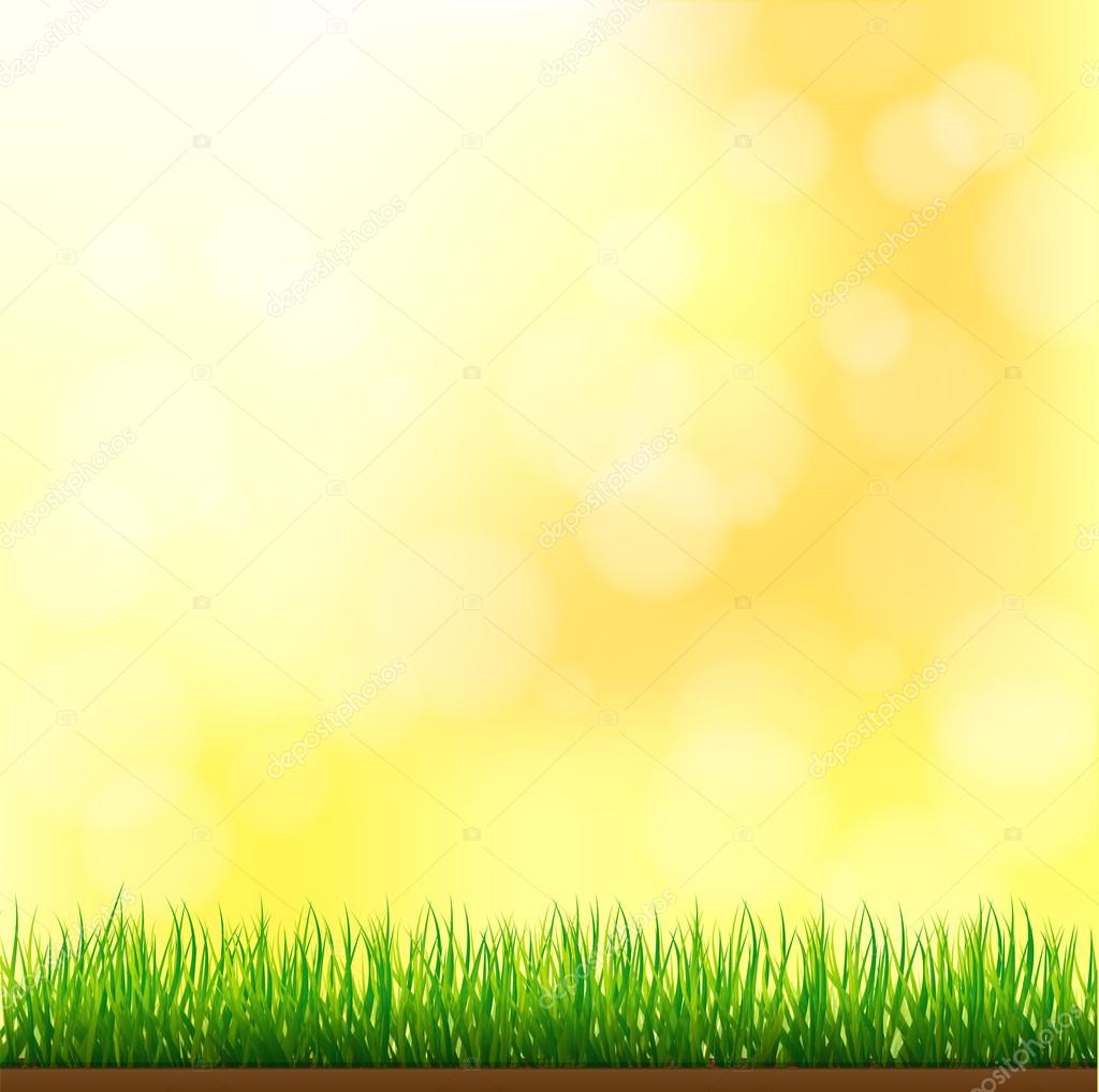 Natural Green Grass Background Stock Vector Image by ©ckybe #88099536