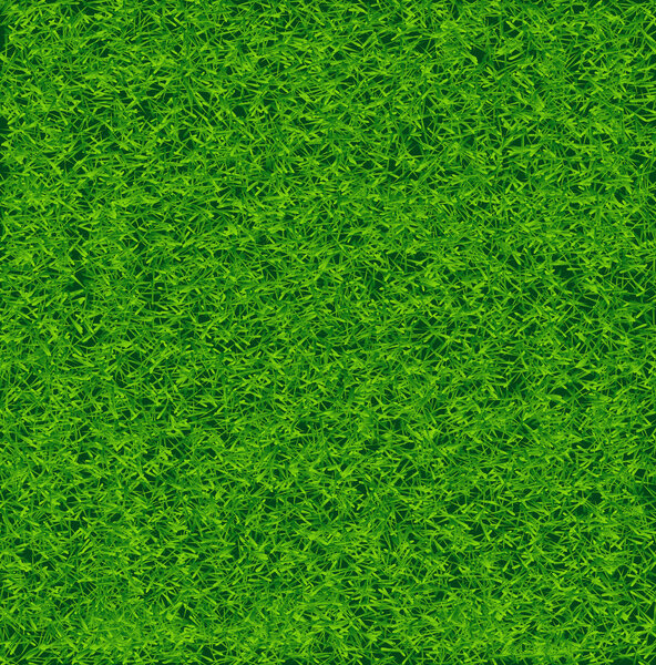 Green Soccer Grass Field