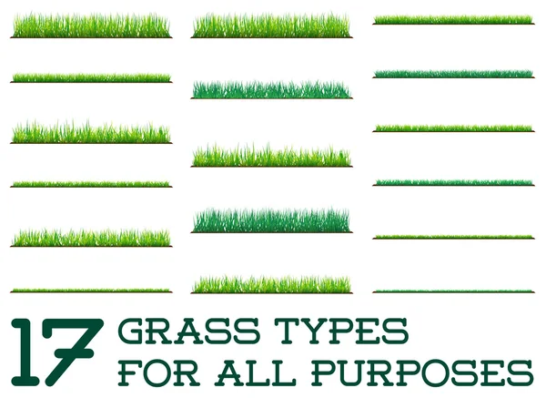 17 milieux d'herbe verte — Image vectorielle