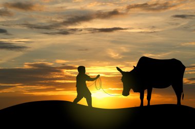 Siluet görüntü günbatımı bir çocuk sığır