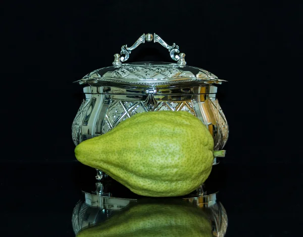 Etrog gümüş kutusu