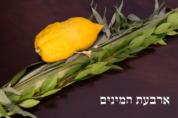 Sukkot için dört tür. Metin - dört türü
