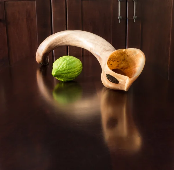 Etrog verde com shofar longo — Fotografia de Stock