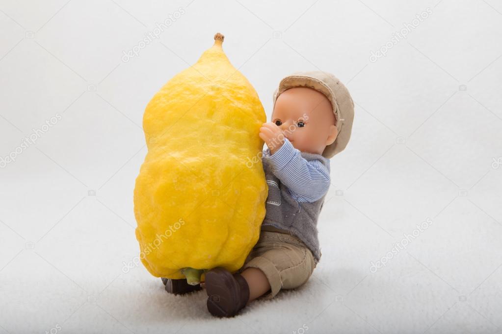 Citron - etrog  with doll child