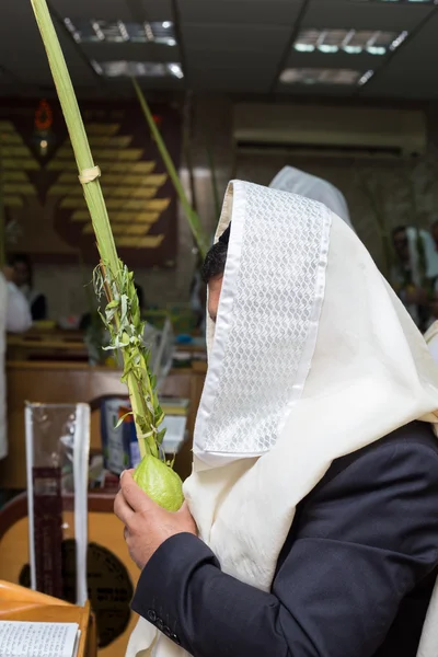 Sukkot . Man holding a lulav and etrog in synagogue — ストック写真