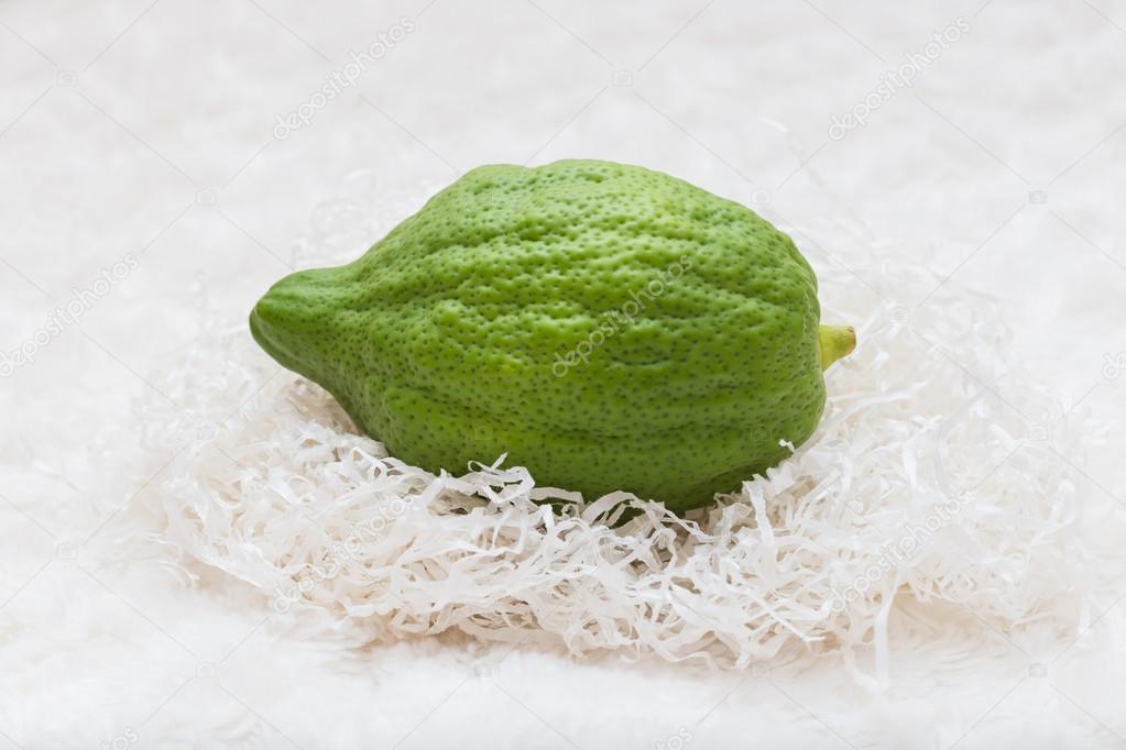 green Etrog - citron
