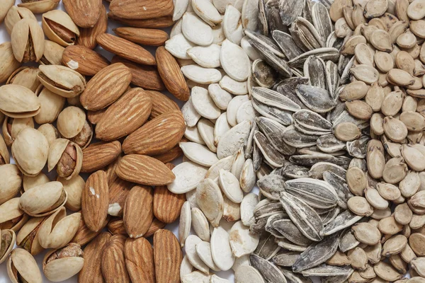 Vzorek semen ořechů — Stock fotografie