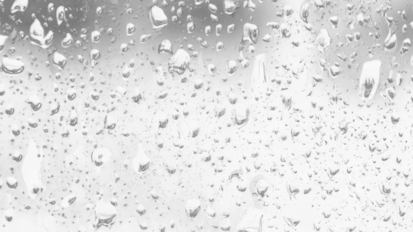 Islak cam. Su damlacıkları. Kapalı camlara yağmur damlaları düşer. Seçici odak siyah ve beyaz