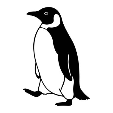 Beyaz arka planda duran siyah beyaz bir penguen. Penguen sola bakıyor, siyah bir kafası, sırtı, paletleri ve beyaz bir göbeği var. Yanağında belirgin beyaz bir bölge ve küçük beyaz bir göz var. Penguenin bedeni dep