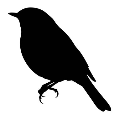 Düz beyaz bir arka plana karşı tek ayak üzerinde duran siyah bir kuş silueti. Kuş profilden görülüyor, sola bakıyor, küçük bir gagası ve pençeleri var. Siluet simsiyah, dokusu ya da gölgesi yok, temiz ve temiz bir hava yaratıyor.