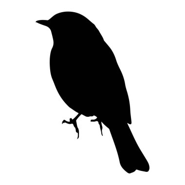 Düz beyaz bir arka plana karşı tek ayak üzerinde duran siyah bir kuş silueti. Kuş minimalist bir şekilde tasvir edilir. Ayrıntıları ve dokuları yoktur. Temel şeklini ve şeklini gösterir. Silüet simsiyah, gradyanı yok.