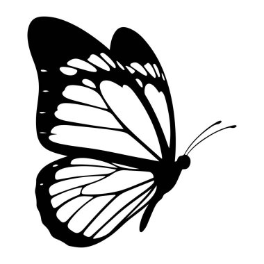 Kanatlarında beyaz lekeler olan siyah bir kelebek silueti, düz beyaz bir arkaplanda. Kelebek yan bir görüntüde tasvir edilir, kanatları açılır ve anten görünür. Kelebek, siyah, siluet. siyah kelebek silueti