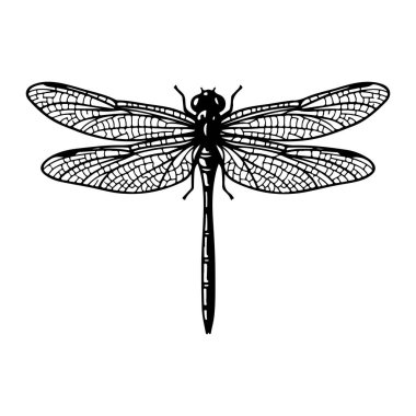 Kanatları geniş bir şekilde yayılmış siyah bir yusufçuk, düz beyaz bir arka plan üzerine kuruludur. Yusufçuğun vücudu ve kanatları koyu siyah çizgilerle tasvir edilir. Kanatlarında belirgin damar desenleri bulunur. Basit, gölgelendirmesi ya da renk değişkeni olmayan