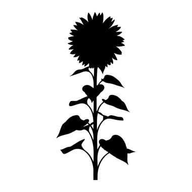 Beyaz arka planda siyah bir ayçiçeği silueti. Ayçiçeğinin sivri yapraklı büyük yuvarlak bir çiçek başı ve birkaç yapraklı uzun bir sapı vardır. Basit, gölgelendirmesi ya da dokusu olmayan.