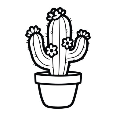 Çiçekli bir tencerede kaktüsün siyah beyaz resmi. Kaktüsün dikenli üç ana sapı ve her iki tarafında birer tane olmak üzere üç çiçeği vardır. Esrar sade ve yuvarlaktır. Gölgelendirmesi ya da rengi olmayan bir çizgi, düz beyaz bir Ba 'ya karşı.