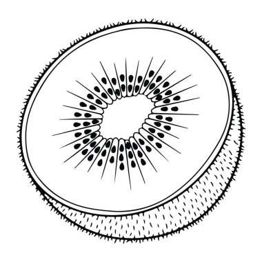 Tüylü derisini ve tohumlarını sergileyerek ortadan ikiye bölünmüş siyah beyaz bir kivi meyvesi. Meyve, kalın çizgileri ve detaylı dokusu olan düz beyaz bir arkaplan üzerine kuruludur. Kivi, meyve, ikiye bölünmüş. siyah ve beyaz kivi meyvesi ikiye bölünmüş beyaz b