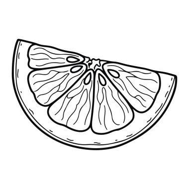 Limon diliminin basit siyah beyaz çizgisi, muhtemelen bir limon ya da limon, görünen kısımları ve çizgileri doku ve bölümleri gösteriyor. Düz beyaz bir arkaplanda. Turunçgil, kama, limon. Limonlu limon diliminin siyah beyaz çizgisi.