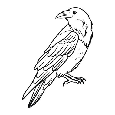 Tek ayak üzerinde duran siyah beyaz bir karga, profilden görülüyor. Karga yüzünü sağa çevirir ve başını hafifçe çevirir. Kalın çizgiler ve gölgeleme tüylerde ve gagalarda doku oluşturur. Arkaplan düz beyaz.