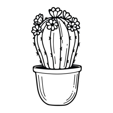 Kaktüs üzerinde çiçekler olan kaktüslerin siyah ve beyaz çizgileri yuvarlak, dikey çizgileri ve küçük dikenleri vardır. Basit yuvarlak bir tencereye konur. Kaktüsün yuvarlak yapraklı birkaç çiçeği var. Arkaplan düz beyaz