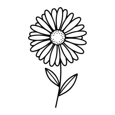 Beyaz arka planda basit siyah bir çiçek çizgisi. Çiçeğin küçük noktalı dairesel bir merkezi ve iki yapraklı tek bir sapı vardır. Yapraklar gözyaşı şeklinde ve merkezin etrafında dairesel bir düzende dizilmiş. Çizgiler pürüzsüz ve c