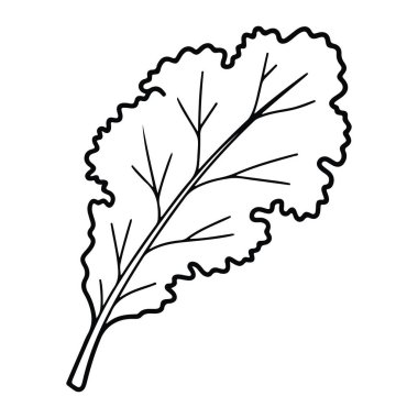 Beyaz arka planda dalgalı kenarları olan basit siyah bir yaprak çizgisi. Yaprağın kenarlarında çeşitli damarlar bulunan merkezi bir sapı vardır. Yaprağın ana hatları düzensiz ve dalgalı. Yaprak, siyah, çizgi dalgalı kenarlar. Dalgalı bir yaprağın siyah çizgisi