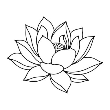 Beyaz arkaplanda bir nilüfer çiçeğinin basit siyah çizgisi. Çiçeğin birden fazla taç yaprağı ve yaprakları vardır ve ortasında küçük noktalar vardır. Çizgiler pürüzsüz ve sürekli, ne gölgelendirme ne de renk var..