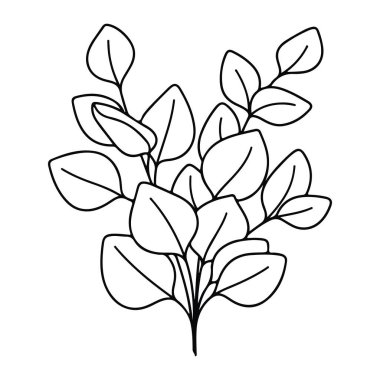 Beyaz arka planda birden fazla yaprağı olan bir bitkinin basit siyah çizgisi. Bitkinin çeşitli boyutlarda oval şekilli yaprakları olan çok sayıda sapı var. Çizgiler pürüzsüz ve akışkandır. Yaprakların doğal şeklini gösteren ince kıvrımları vardır. Şey...