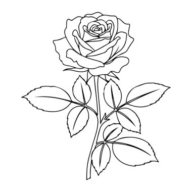 Beyaz arka planda yaprakları olan tek bir gülün basit siyah çizgisi. Gül, gövdesi ve yaprakları aşağıya doğru uzanan ön taraftan görülür ve ortalanır. Bu minimalist, kalın çizgileri ve gölgesi veya rengi yok..