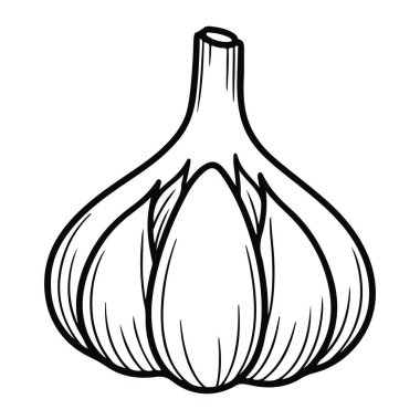 Kağıt derisi ve görülebilir karanfilleri olan sarımsaklı bir ampulden oluşan basit siyah bir çizgi. Düz beyaz bir arkaplan üzerine kurulmuş. Tarzı minimalist, kalın çizgileri var ve gölgesi yok. Sarımsak, ampul, sebze. sarımsak soğanının siyah çizgisi.