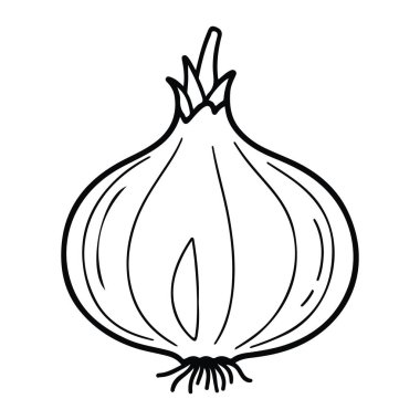 Beyaz arka planda basit bir soğan çizgisi. Soğan yuvarlak bir gövde ile tasvir edilir ve çizgilerdeki küçük bir gövde pürüzsüz ve akışkandır, soğanın tabanında biraz doku önerilir. Rengi ve gölgesi olmayan bir minimalist..