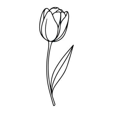 Beyaz arka planda tek yapraklı siyah bir lale çizgisi. Lale minimalist bir tarzda tasvir edilir, pürüzsüz çizgiler ve gölgeleme veya renk yoktur. Sapı ve yaprağı uzun ve incedir. Lale yaprakları da kapalıdır..