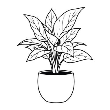 Büyük yaprakları olan basit bir saksı çizgisi ve beyaz arka planda sade bir tencere. Bitkinin görülebilir damarları olan büyük yapraklı birden fazla sapı var. Tencere, geniş ağızlı ve kıvrık vücutlu temel bir şekildir. Hepsi siyah ve...
