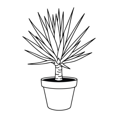 Kalın bir gövdesi olan basit bir saksı bitkisi çizgisi ve dışa doğru yayılan sayısız uzun ince yaprak. Bitki bir çömleğin içinde, toprak beyaz arka planda siyah çizgilerle gösterilir, temiz ve minimalist bir v oluşturur.