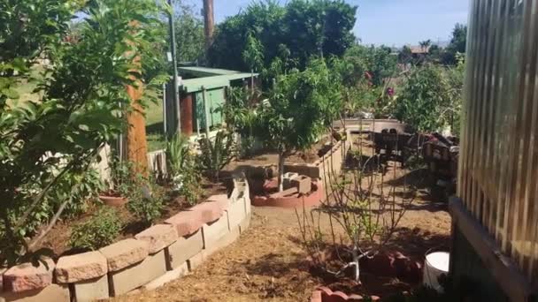 Περιοχή οικόπεδο κήπο σε μια όμορφη μέρα, γυρίστηκε σε ανάλυση 4k — Αρχείο Βίντεο