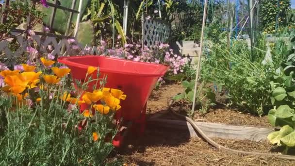 Hermosa cacerola de parcelas de jardín y carretilla, disparado en 4K — Vídeo de stock
