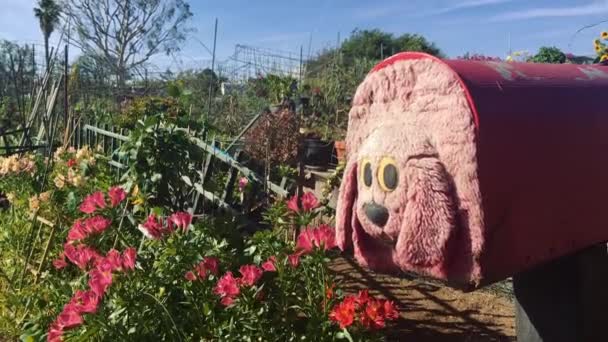 Roztomilé zahrady se psem ve tvaru poštovní schránky v 4k — Stock video