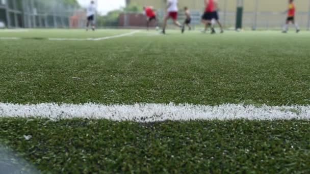 Bir futbol sahası içinde oynayan futbolcular — Stok video