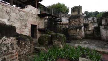 Bitkiler ve ağaçlar çevrili Harabeleri